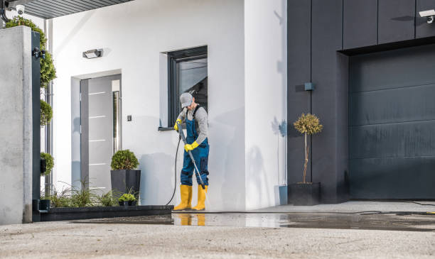 Best Animal Enclosure Cleaning  in Millers Falls, MA